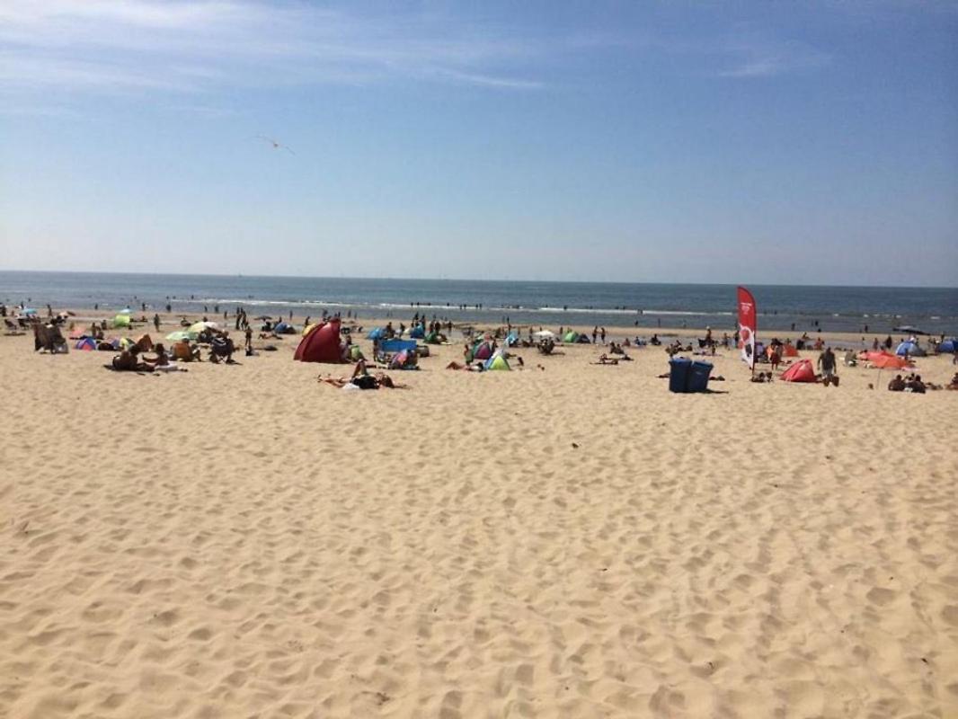 Villa Duinzand Egmond aan den Hoef Exteriör bild
